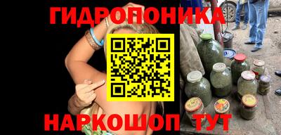 стаф Аргун