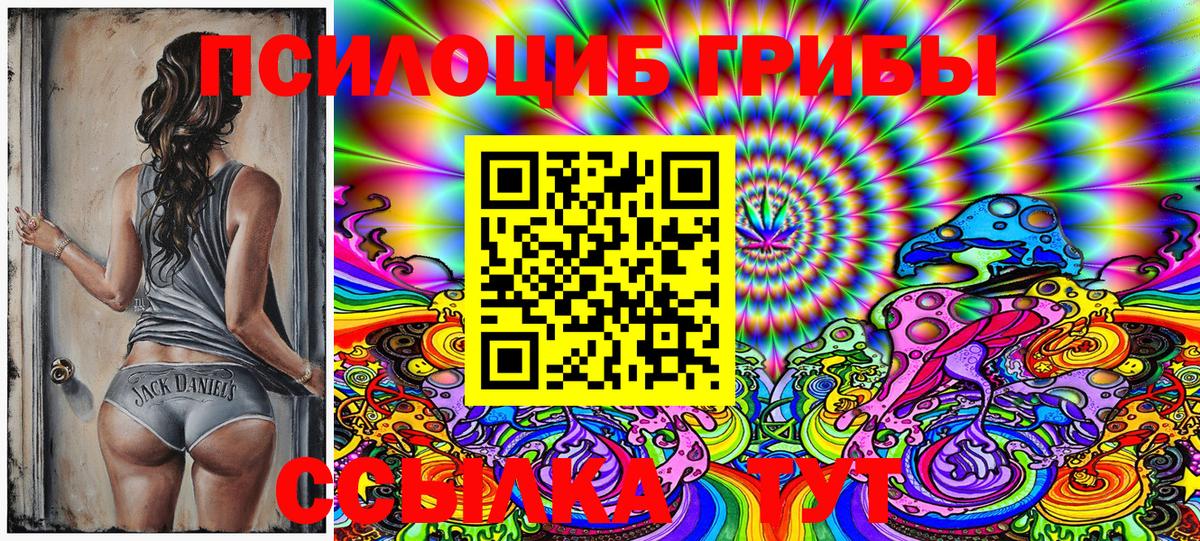 Галлюциногенные грибы Psilocybine cubensis Архангельск